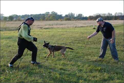 Training in Estonia 9/2007